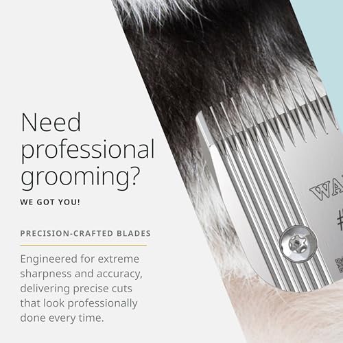 Wahl Pro Animal Prime Series Blades - Professional Fine Tooth Pet Clipper for Horse, Cat & Dog Grooming - Made from High-Carbon Steel - #7, 3.2mm - size: #7