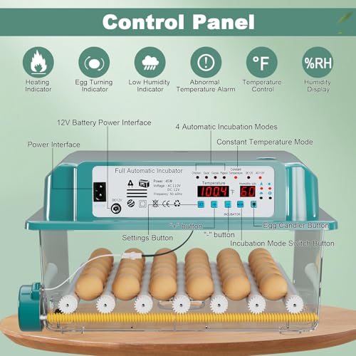 CoInceptus 36 Eggs Incubators for Hatching Eggs,Egg Incubator with 4 Automatic Incubate Mode,Chicken Incubator with Automatic Egg Turning Humidity Display,Quail Egg Incubator with Egg Candle - size: 36 Egg