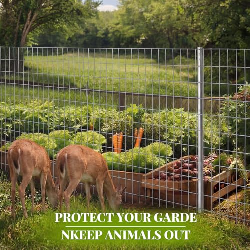 Gisafai Wire Fencing 16 GA 2x4 Inch Mesh Roll, 48in X 100 ft, Silver | Metal Chicken Wire Fence, Hardware Cloth Wire Roll, Cage Wire for Garden Vegetables Animals - color: Silver, size: 48in X 100 ft