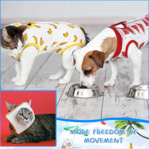 Kacctyen 6 Pack Cat Recovery Suit After Surgery Anti Licking,Fruit,Medium | E Collar Alternative for Spay Wounds, Breathable Post Neuter Protection, Prevents Scratching, Comfortable Onesie for Kittens - size: Medium, style: Fruit