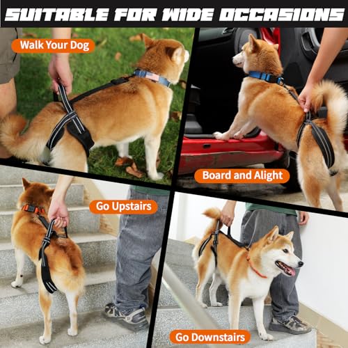 Dog Harness Rear Leg Support for Old Disabled Injured Arthritis Post-op S | Breathable mesh material with reflective strape, adjustable buckle, portable lifting handle, match most dog collars - size: S(Leg Girth: 13.3-18.1")