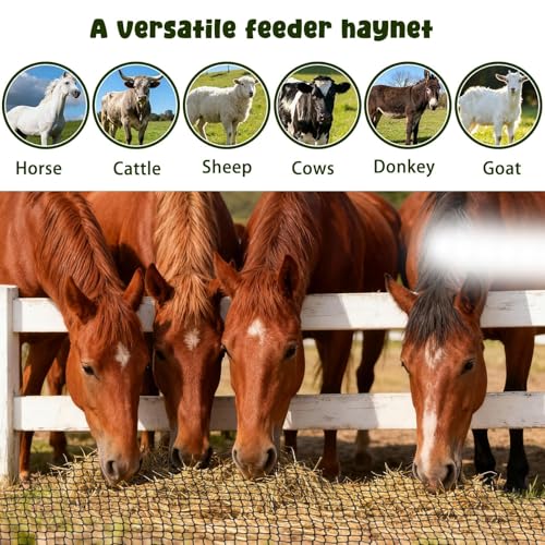 5x5ft Bolded Hay Net for Horses – Heavy-Duty Slow Feeder | Knotless 2-Inch Mesh Slows Intake, Slashes Hay Waste – Great For Barns, Farms & Home