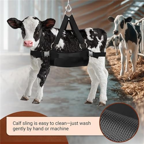 Calf Sling for Weighing 30"x25" up to 400 LB - Heavy-Duty 1800D Livestock Weighing Sling for Newborn Calf, Lamb, Goat, Alpaca, Pig, Dog - Hoof Trimming, Hanging Scale & Recovery Support (Large) - size: Large (30"x25", Up to 400 Pound)