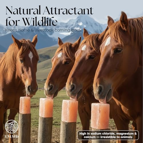 UMAID Himalayan Salt Block 4-Pack, 8x4x2 Inches – Natural Pink Mineral Block for Horses, Cows, Goats & Sheep – Long-Lasting Livestock Salt Supplement - size: 5 Pound (Pack of 4)