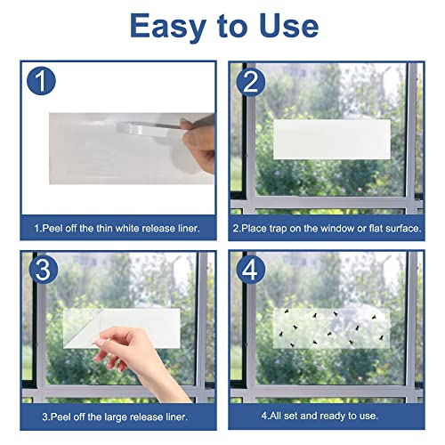 Dichroma 50 Pack Sticky Window Fly Traps Indoor Fly Paper Stickers Clear | Fly Strips for Window Fruit Fly Gnat Trap