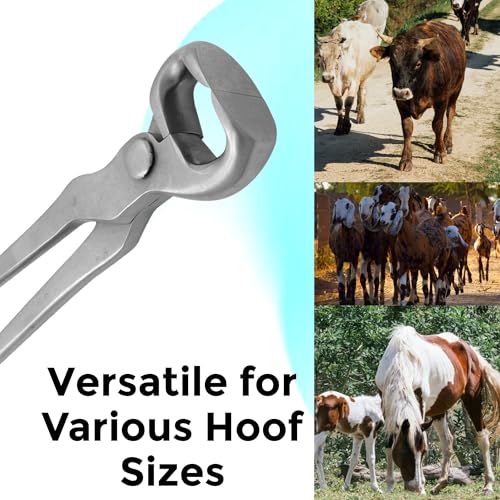 12" Curved Hoof Nipper, Carbon Steel & Chrome Vanadium Farrier Tool for Horses – Durable, Sharp & Rust-Resistant - size: 12"Curved Hoof Nipper