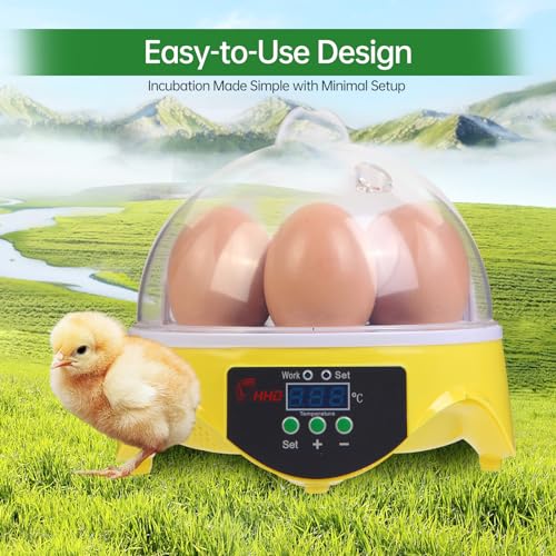 360° View 7-Egg Poultry Incubator for Hatching Chicken, Duck, Goose, Parrot, and Quail Eggs, with Temperature Control