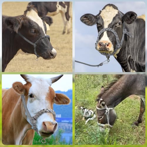 La La Pet Adjustable Cattle Halter Hand Braided Livestock Leading Rope Farm Training Supplies Handling Equipment for Calf Cows Horses Donkeys Goats Foals 6.56Ft Rope - size: 6.56'Rope