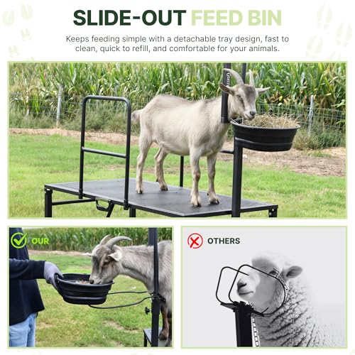 Goat Stand with Adjustable Headpiece & Legs, Goat Milking Stand with Feeder, Rails & Wheels, Stanchion for Grooming & Hoof Trimming, Sheep Stand for Shearing Heavy-Duty Steel Platform, Black - color: BLACK
