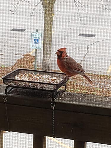 Ground Bird Feeder Tray 8 inches Square Platform Metal Mesh Seed Holder Outdoor Garden Decoration for Attracting Wild Birds