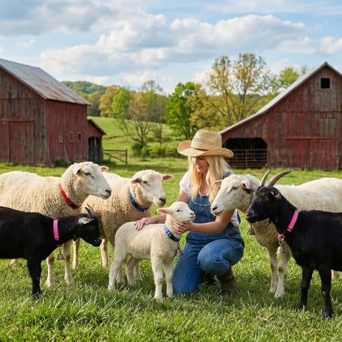 4 Pack Sheep Grazing Copper Bells & Adjustable Nylon Collar Set | Goat Collars with Bells, Bronze Bell for Find Your Animals Fast, Suitable for Small Newborn Animal Sheep Goat Cow Accessories