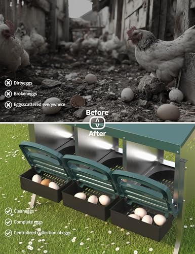 Metal Chicken Nesting Box with Easy-Collect Tray & Lid – 3/4/2x2 Compartment Heavy Duty Roll Away Nesting Boxes for Chickens, Wall Mount or Freestanding, Galvanized Steel Hen Laying Box for Coop