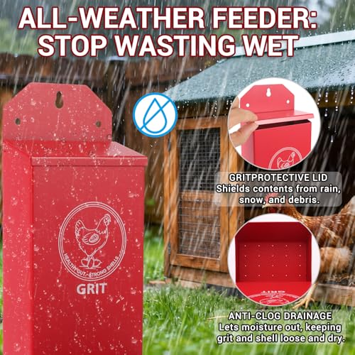 2-Pack Metal Chicken Grit Feeder & Oyster Shell Feeder with Lid - Hanging Gravity Poultry Feeder for Chickens, Ducks, Quail - Rain Proof Chicken Coop Accessories - Wall Mount Chicken Feeders No Waste