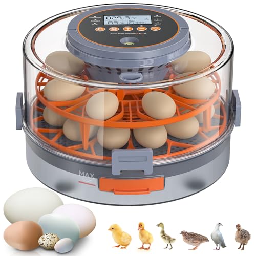 Egg Incubator for Hatching 18 Eggs with Auto Turning, Humidity Sensor, 5 Preset Modes, Transparent Lid for Observation, Ideal for Family Projects, Science Classrooms, Chickens Ducks Quails (Orange)