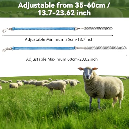 Misdary 2 Pcs Goat Show Collars, Adjustable 14"-24" Iron Chain Halter for Sheep, Horses, Dogs, Cows & Calves, Farm Animal Supplies Accessories Animal Lovers Gift (14'',Blue) - color: Blue