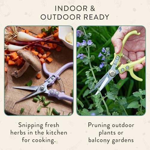 Modern Sprout Pruning Shears - Garden Snips - Herb Scissors - Ocean 1-Pack | Lightweight Gardening Tool - Durable Carbon Steel Blade W/Easy-Lock - Gardening Supplies - Flower Cutter - Reusable Holster - color: Ocean