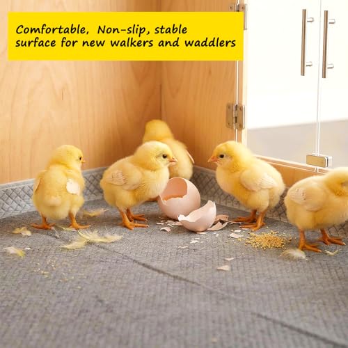 Hatchling Liners for Little Red Chicken Barn Pack 15, Chick Brooder Pads Absorbent, Leakproof Bedding for Baby Chicks, Ducklings