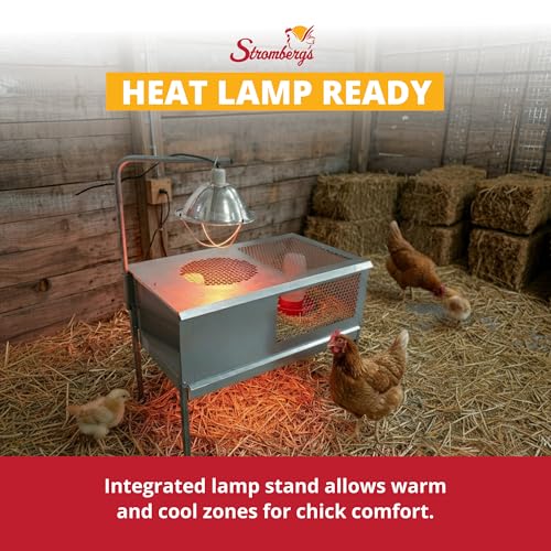 Stromberg's Stand Up Chick Brooder, Elevated Chicken Brooder Pen with Lamp Stand, Removable Tray, Wire Floor, Ventilated Steel Design, Raised Frame for Easy Cleaning and Chick Care | With Lamp Stand, Removable Tray, Wire Floor, Ventilated Steel Design, Ra