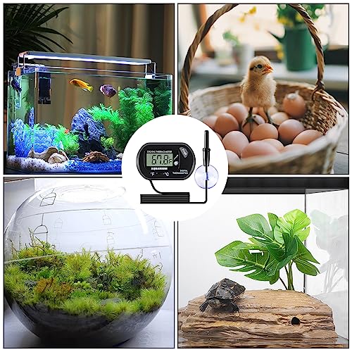Aquarium Thermometer LCD Digital Fish Tank Thermometer with Water-Resistant Sensor Probe and Suction Cup for Turtle Incubators Terrarium Water Thermometer - color: 1PC