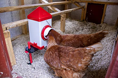RentACoop 5lb BPA-Free Single-Port Chicken Feeder - Includes Anti-Roost Lid, Rain Hood, and Mounting Kit - Suitable for 12 Week or Older Chickens, Adult Chickens, and Poultry - size: 5LB