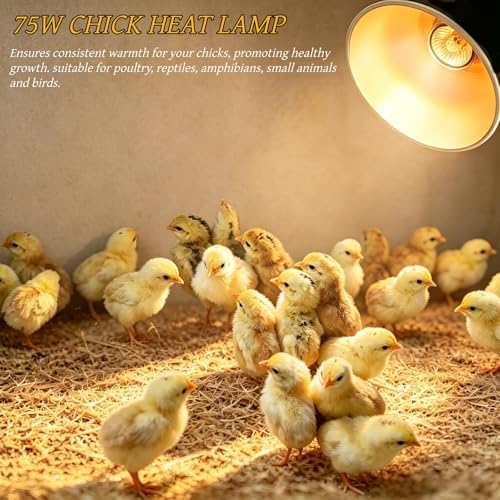 Chick Starter Kit with 75w Heat Lamp, 5-in-1 Baby Chicken Brooder Supplies | Feeder & Waterer Set, Perch with Mirror for Coop Brooder Poultry Chick Duck Quail Bird