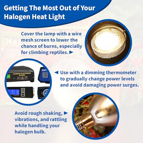 Pangea 75W Halogen Heat Lamp for Reptiles, Warming Infrared UVA Light | Designed for Ceramic Sockets - Reptile Enclosure Heat Lamp for Bearded Dragons, Leopard Geckos, Tortoises, Crested Geckos