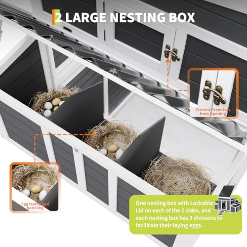 55" Wooden Chicken Coop, Chicken Coop for 4-6 Chickens, with 2 Sides Large Nesting Boxes, Outdoor Poultry Cage Rabbit Cage with Ramps & Tray,(54.41" x 34.49" x 34.05")