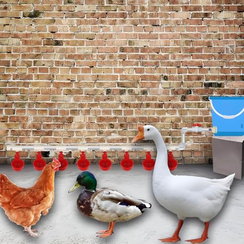 Automatic Chicken Water Cups,Chicken Water Feeder,Complete Set Pipeline Automatic Chicken Waterer System for Chick Duck Quail