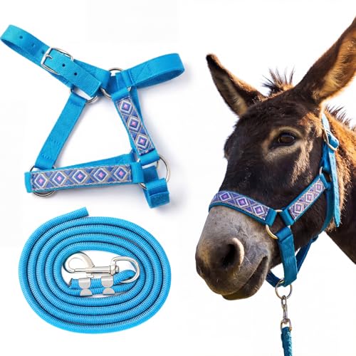 1 Set Mini Donkey Halter with Lead Rope Adjust, Lake Blue | Nylon Head Collar, Cute and Stylish, for Miniature Donkey and Small Equines, Farm Ranch Pasture Outdoor, Gingham Plaid Trim - color: Lake Blue