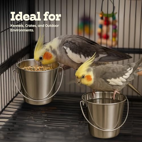 1Qt Stainless Steel Hanging Water Bucket for Dog Kennel 2-Pack | Food & Water Pail, 0.25 Gallon Capacity, Heavy-Duty, Round Design with Carry Handle, Ideal for Dogs, Cats, Birds & Small Pets - size: 1 Quart (Pack of 2)