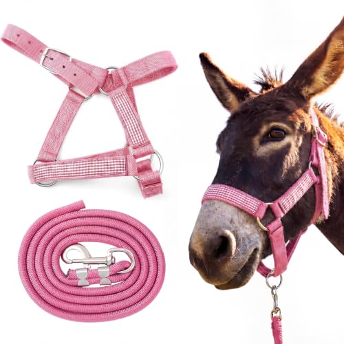 1 Set Mini Donkey Halter with Lead Rope Adjust, Pink | Nylon Head Collar, Cute and Stylish, for Miniature Donkey and Small Equines, Farm Ranch Pasture Outdoor, Gingham Plaid Trim - color: Pink