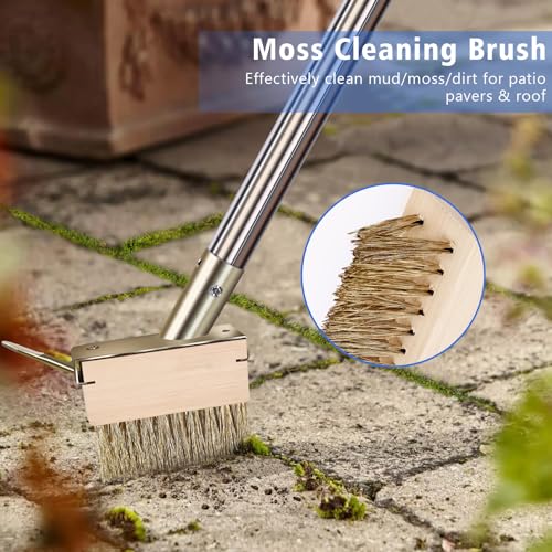Moss Remover Brush Tool with 65in Handle for Concrete Pavers Crevice | 2 Pcs Wire Grout Brush Head, Detachable Long Handle, Crack Weeder Puller for Outdoor Deck Patios Walkways Roof Moss Removal