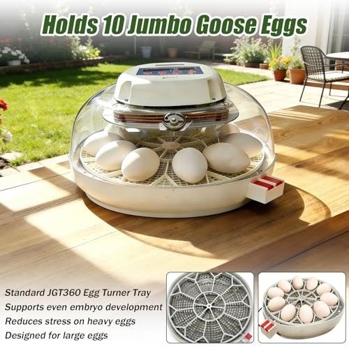 JGT360 Large Goose Egg Turner Tray for Nurture Right 360 Incubator, 10 Egg | 10 Egg Capacity Heavy Breed Jumbo Goose Egg Tray, Stable Egg Support for Improved Hatch Rate