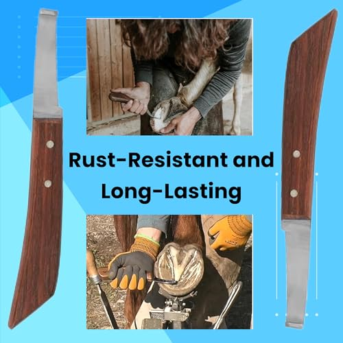 Hoof Knife Single Sided Edge Wide Straight Blade – Stainless Steel Straight Blade Farrier Tool with Wooden Handle, Multipurpose Hoof Trimming Knife for Livestock, 3-Inch Blade, 8.5-Inch Overall - style: Extra Long Shaft - RH