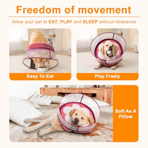 Inflatable Dog Cone Collar for Large Medium Small Dogs, Soft Dog Donut Collar Adjustable Recovery Cone for Pets After Surgery, Extra Enhanced Anti-Licking Guard Shield (Mangosteen, Medium Plus) - color: Mangosteen, size: Medium Plus