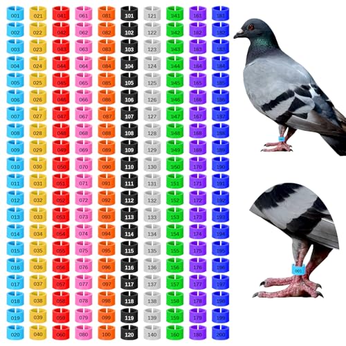 200 Pcs 8mm Chick Leg Bands, Colorful Numbered Bird Quail Leg Rings Identification Legs Bands Baby Chicken Supplies Poultry Tags for Chick Bantam Finch Dove Small Birds (Ten Colors) - size: 0.4 x 0.4 x 0.27 inches