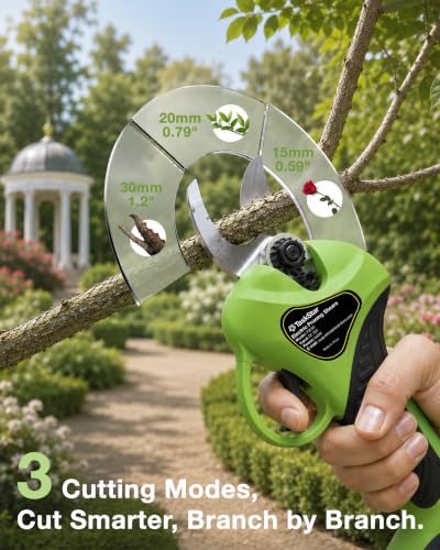 TaskStar 2-in-1 Pole Pruning Shears: 1.4" Max Power Pruner with 4.9-9 ft Pole for Cordless Tree Trimming, Brushless Motor, 4.0Ah Battery, SK5 Blade, 3 Modes Branch Cutter for Garden Maintenance - color: Green and Black