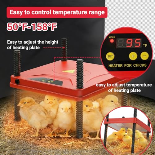 FAMIROSA Brooder Box for Chicks Starter Kit, Pop up and Breathable Chicken Brooders, Collapsible Brooding Box/Playpen with 10 x 10in Brooder Plate, Chicken Waterer, Feeder, Perch for Duck, Quail