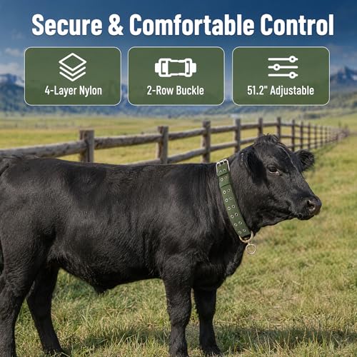 DOITOOL Cow Collar Canvas Calf Cattle Neck Collar, Adjustable Nylon Thickened Livestock Traction Neck Strap with 2 Rows Metal Buckle for Farm Goat Horse Goat Sheep Camel, Green
