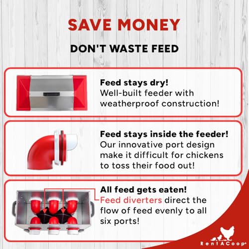 RentACoop 65 lb Large Capacity Chicken Feeder with 6 Ports, Adjustable Legs - size: 65 LB