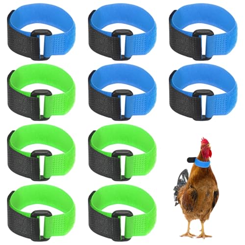 M METERXITY 10-Pack Rooster Collars, 8.07" x 0.79" Adjustable Soft Polyester Anti-Noise Neck Belt for Chickens and Poultry Birds, Noise Control Collar [Blue/Green] - color: Blue/Green