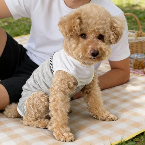 Dog Surgical Suit - Recovery Onesie for Dogs After Surgery, Spayed Female/Male Puppy, Breathable Anti-Lick Clothes, Alternative to Cone(Grey and White-XXS) - color: grey and white, size: XX-Small