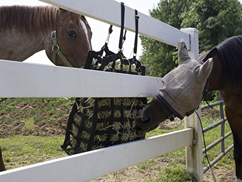Derby Originals Supreme 4-Sided Slow Feed Hay Bag – Patented, 1-Year Warranty, 3.5" & 1.75" Openings - color: Petroleum Blue