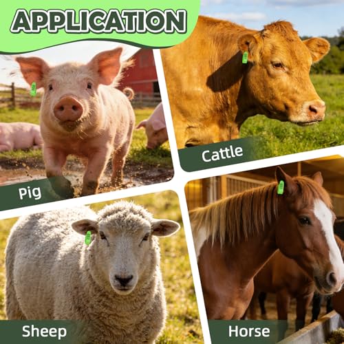 100PCS Livestock Ear Tags Sheep Goat 001-100 Numbered with Applicator Kit | with Punch Plier Tool, Laser Printed Plastic Tags for Goats Sheep Pigs Farm Herd Management Identification (Green) - color: Green