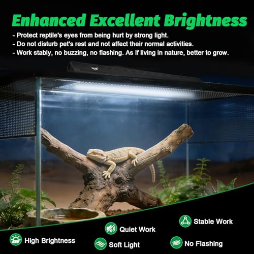 UVB Light for Reptiles Bearded Dragon, T8 UVB Reptile Light Fixture HO UVB Bulb Lighting Combo Kit 10.0 18W UVA UVB Reptile Light Bulb Terrarium Lamp Tube Bar for Snake Gecko Turtle Lizard, 24 Inch - size: T8-24Inch