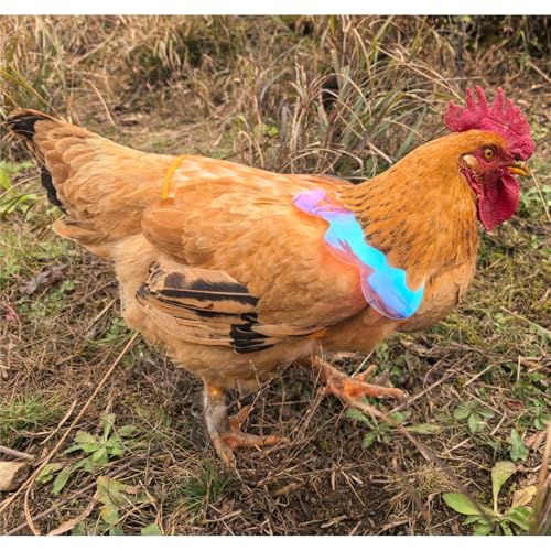 Chicken Saddles for Hens with Detachable Wings, Adjustable Hen Apron Back Protector for Feather Recovery, Double-Layer Breathable Poultry Saver for Standard Breeds (Yellow, White) | Double-Layered Breathable Poultry Back Protector For Hens During Mating A