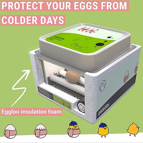 OBI-12 Egg Incubators for Hatching Eggs – Incubator for 12 Eggs with Automatic Egg Turner - Brooder for Chicken Eggs, Quail, and Duck Eggs - Green - color: Green