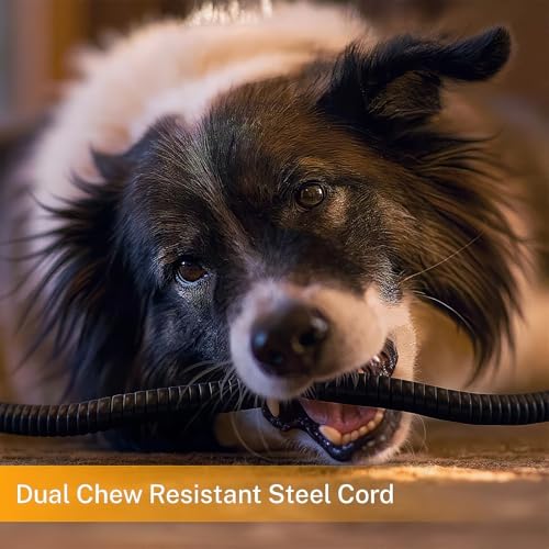 Toozey Small Pet Heating Pad, 6 Adjustable Temperature Dog Cat Heating Pad with Timer, Waterproof Heated Cat Bed with Chew Resistant Cord, Indoor Electric Pet Heated Mat 18x16in | 18 x 16 In, 6 Heat Settings, 4-24H Timer, Waterproof Surface, Chew-Resistan