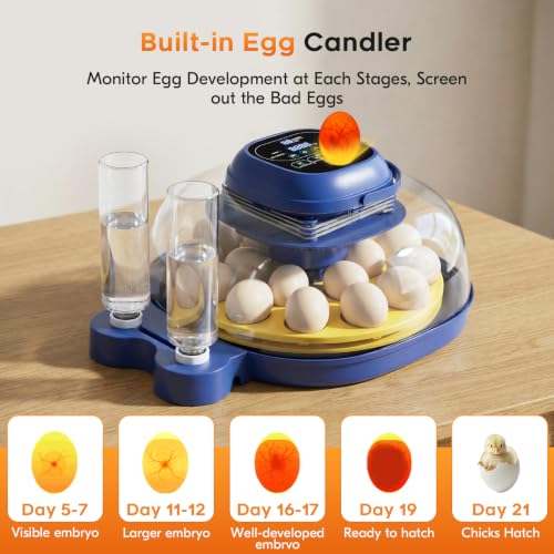 18 Egg Incubator for Hatching Eggs with Automatic Turning, Digital Temperature & Humidity Control, Built-in Egg Candler & Auto Water Refill, 360° Clear View for Chicken