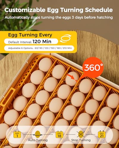 56 Egg Incubator with Automatic Egg Turning and Humidity Control, 360° Viewing, Chicken Incubator for Hatching Duck, Goose, Turkey, Quail, and Parrot Eggs, Egg Candler Ideal for Farm, Home
